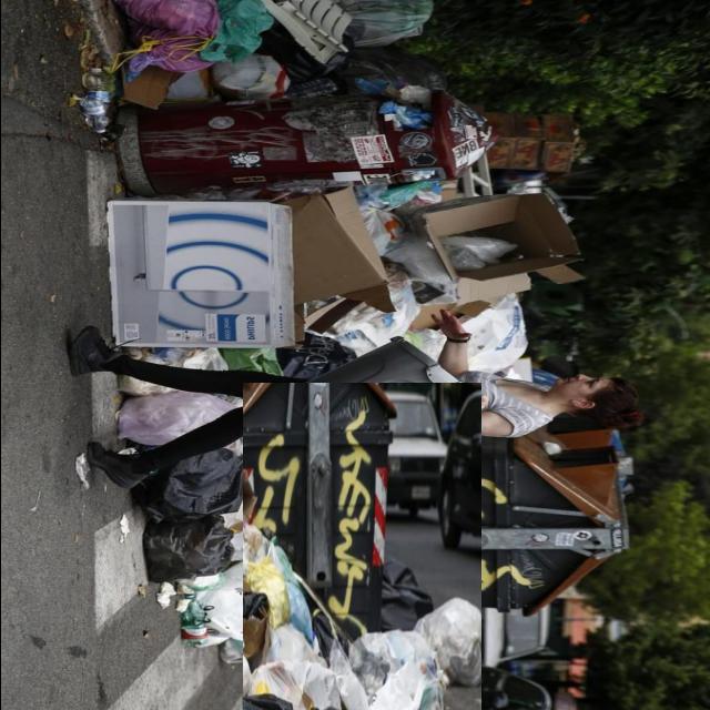 Dataset Image