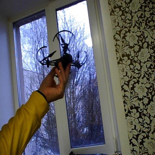 Dataset Image