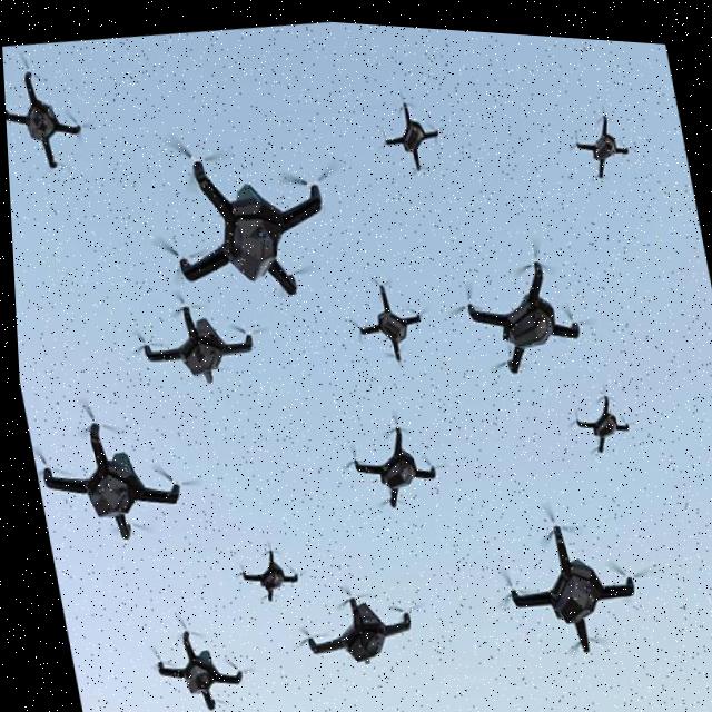 Dataset Image