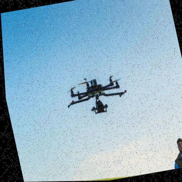 Dataset Image