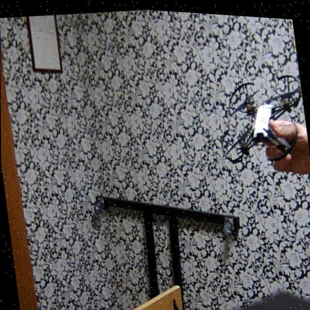 Dataset Image