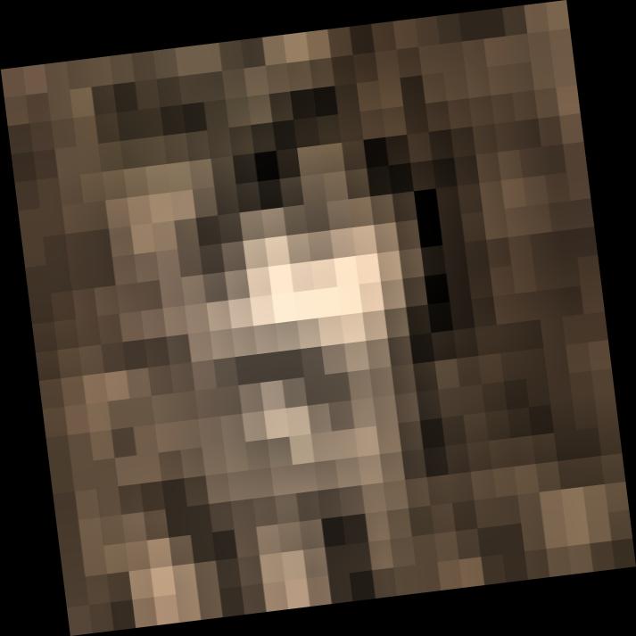 Dataset Image