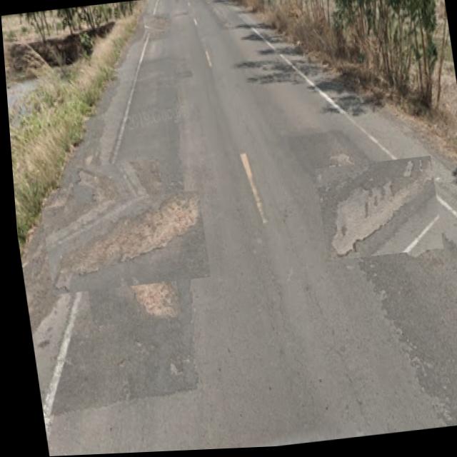 Dataset Image