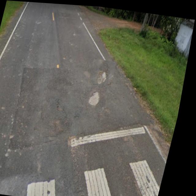 Dataset Image