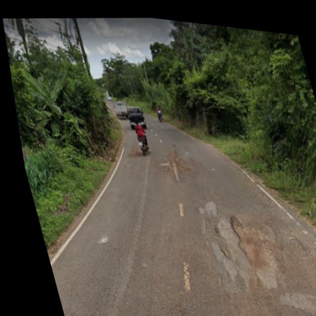 Dataset Image
