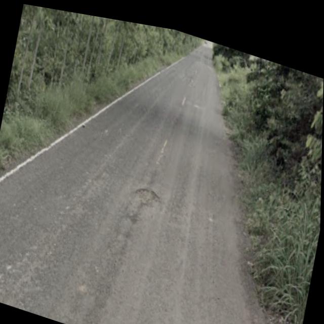 Dataset Image
