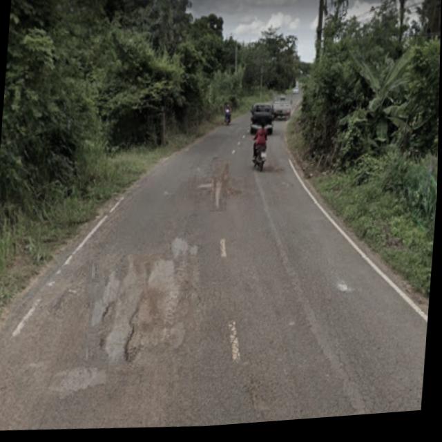 Dataset Image