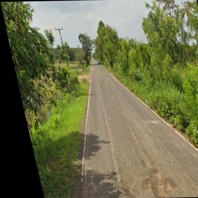 Dataset Image