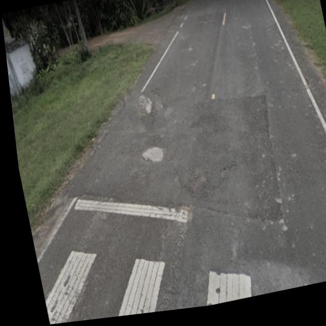 Dataset Image