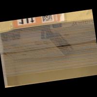 Dataset Image