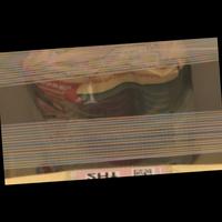 Dataset Image