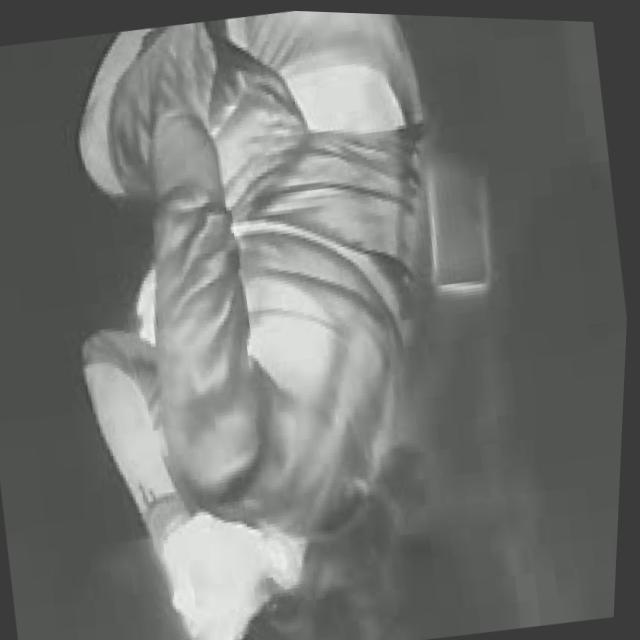 Dataset Image