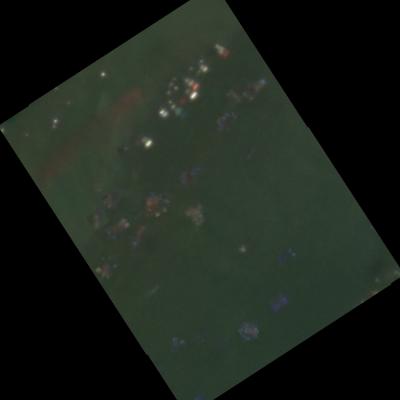 Dataset Image