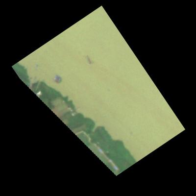 Dataset Image