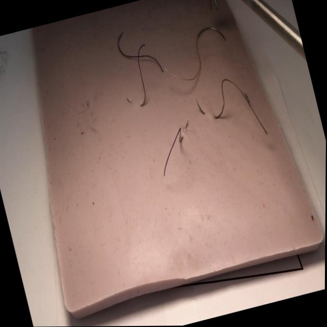 Dataset Image