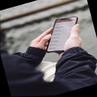 Dataset Image
