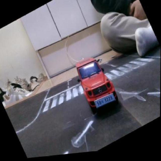 Dataset Image