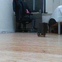 Dataset Image