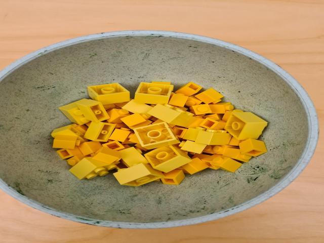 Dataset Image