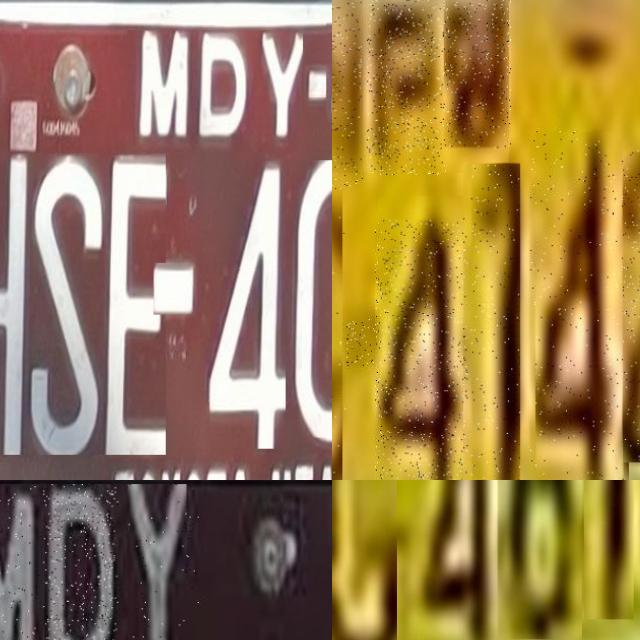 Dataset Image