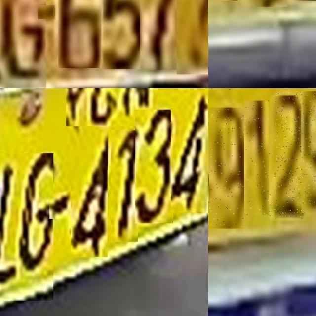 Dataset Image