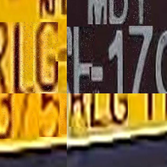 Dataset Image