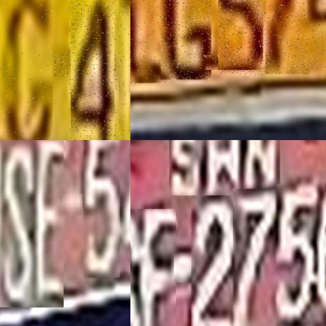 Dataset Image