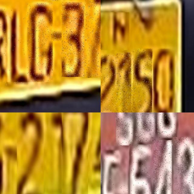 Dataset Image