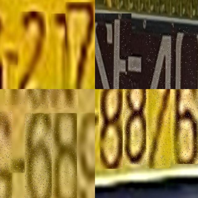 Dataset Image