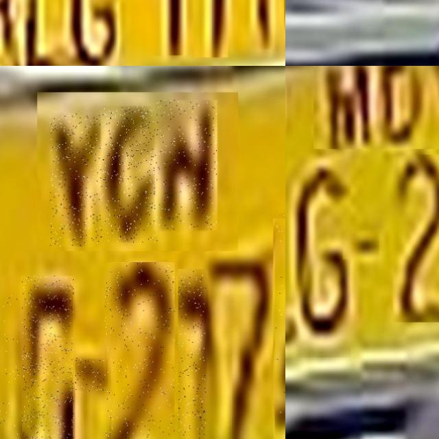 Dataset Image