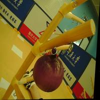 Dataset Image