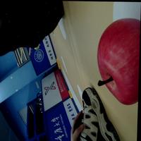 Dataset Image