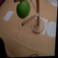 Dataset Image
