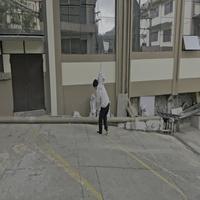 Dataset Image