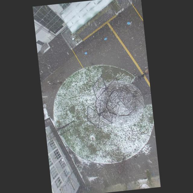 Dataset Image