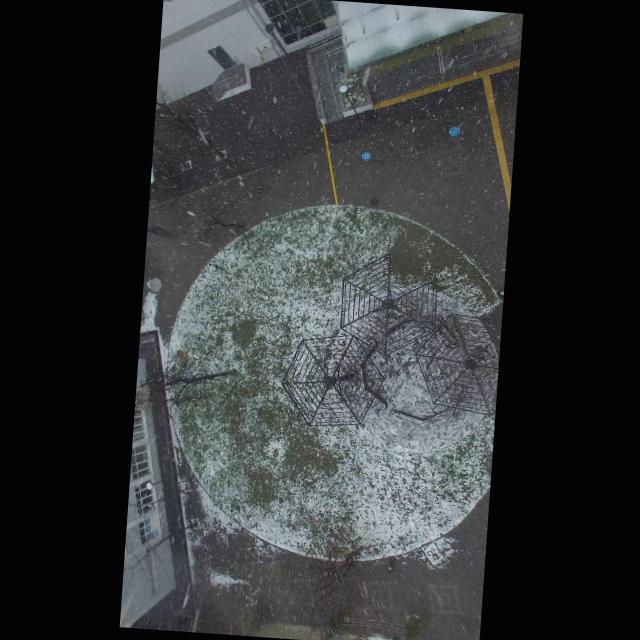 Dataset Image