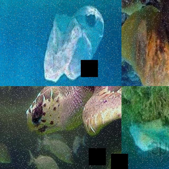 Dataset Image