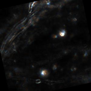 Dataset Image