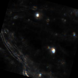 Dataset Image