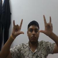 Dataset Image