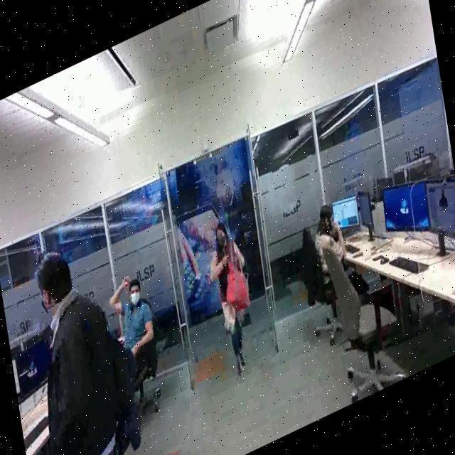Dataset Image