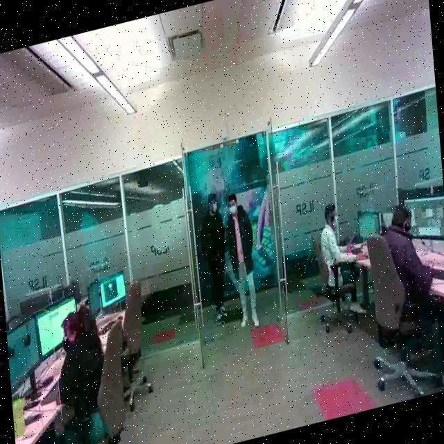 Dataset Image