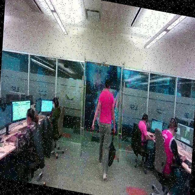 Dataset Image