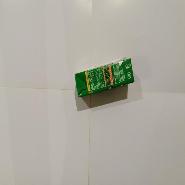 Dataset Image