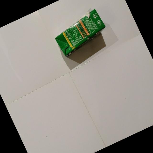 Dataset Image