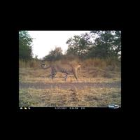Dataset Image