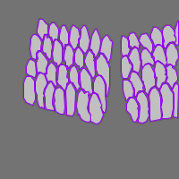 Annotation Visualization