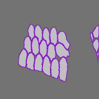 Annotation Visualization