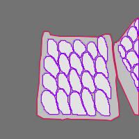 Annotation Visualization