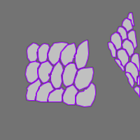 Annotation Visualization